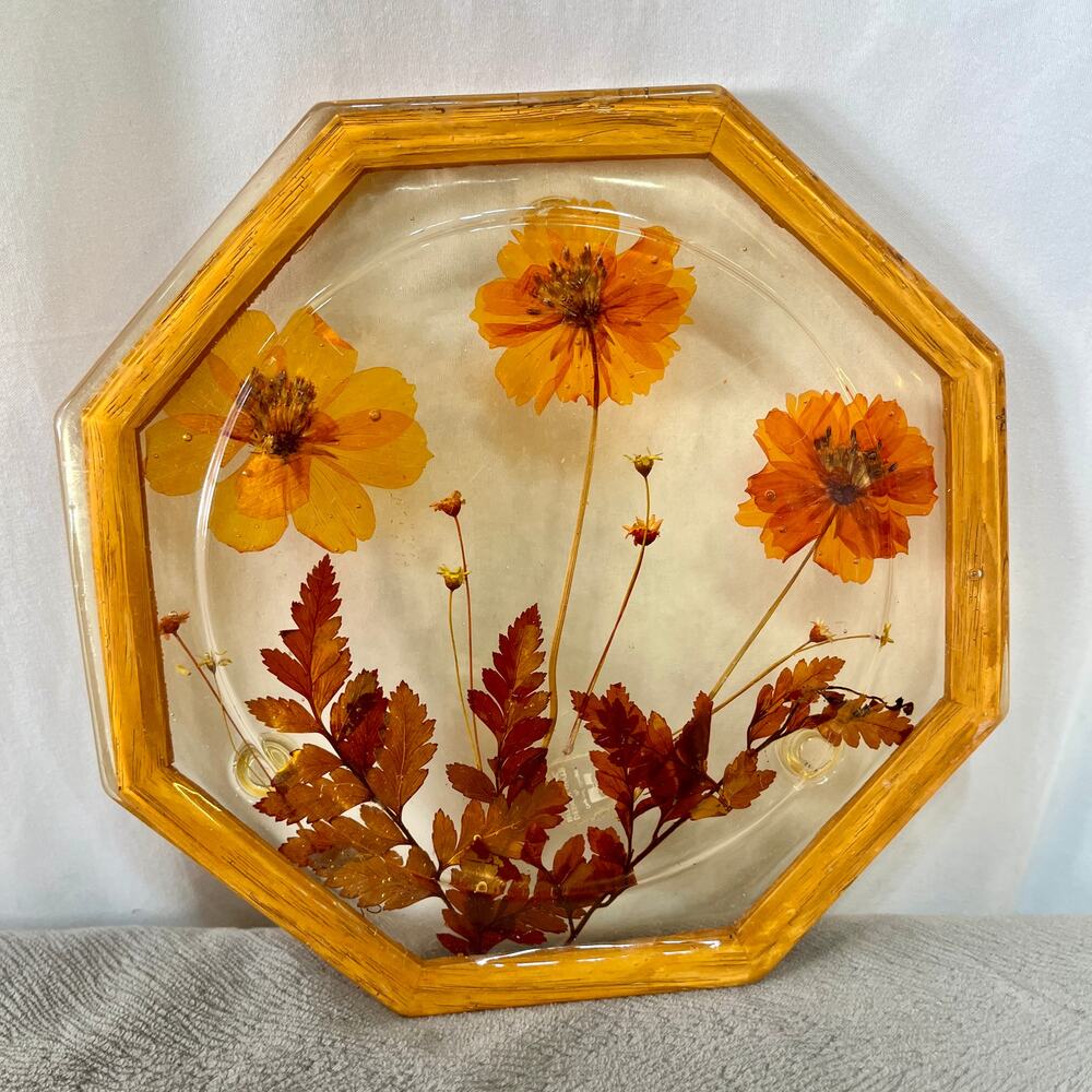 Acrylic Resin Dried Flowers Trivet Hot Pad Footed 60s/70s Brown 8 Sides Vintage